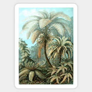 Botanical, vintage, ferns, palm trees, rainforest Sticker